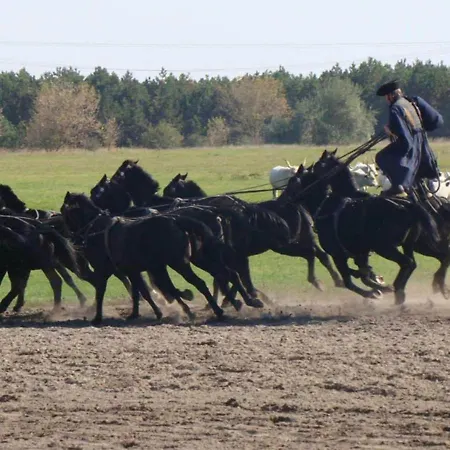 Dom wakacyjny Welcoming Near Nemesgulács